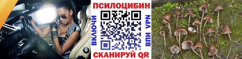 Галлюциногенные грибы ЛСД  Славск 